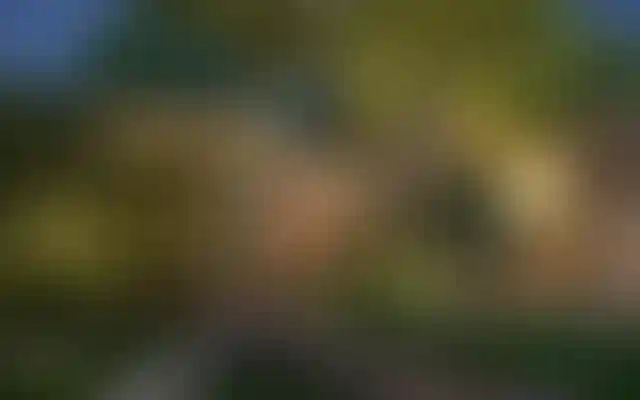 image for main block