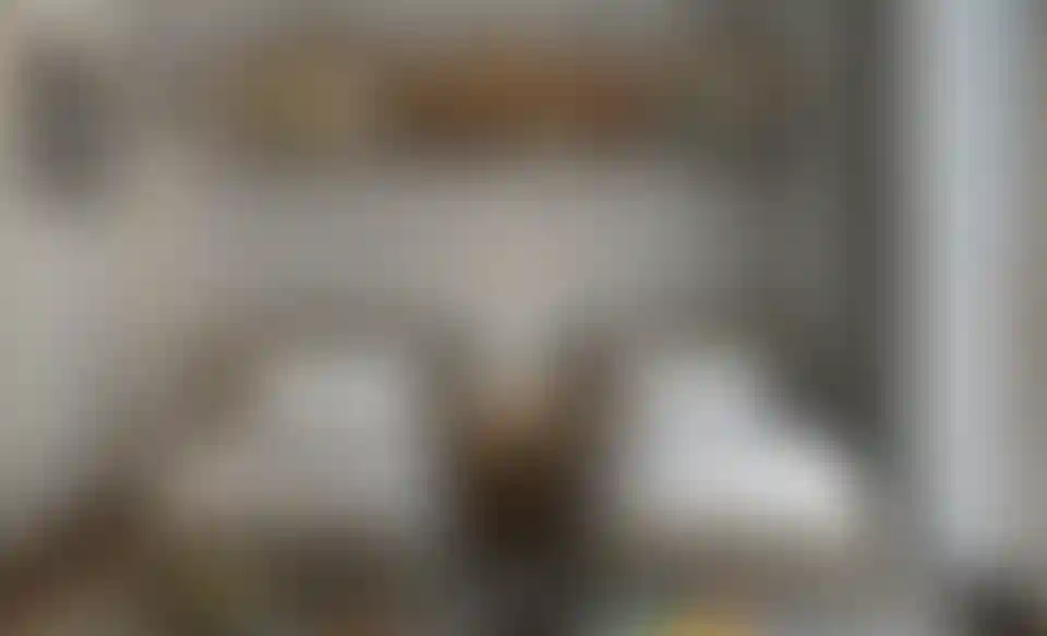 image for main block