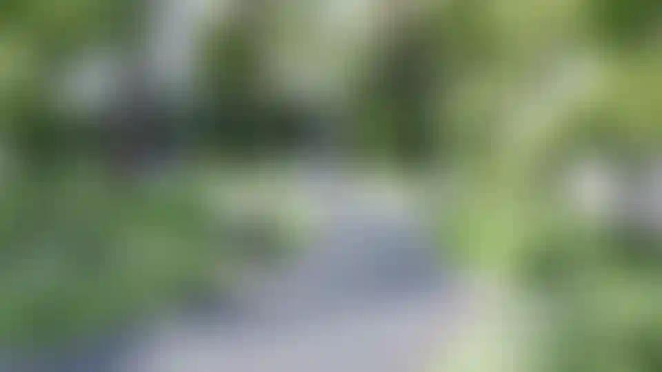 image for main block