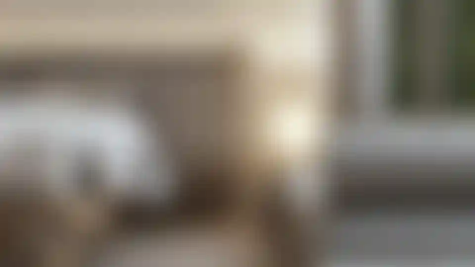 image for main block