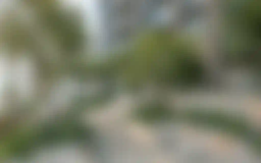 image for main block