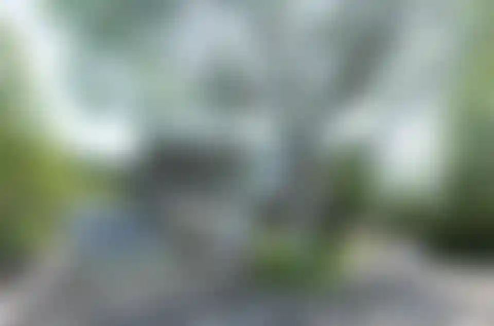 image for main block