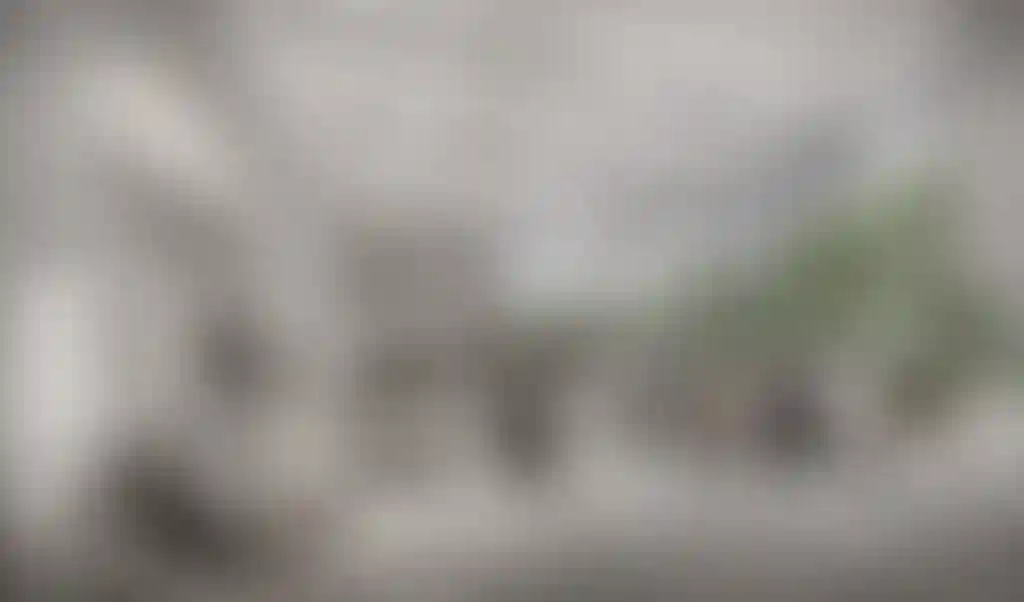 image for main block