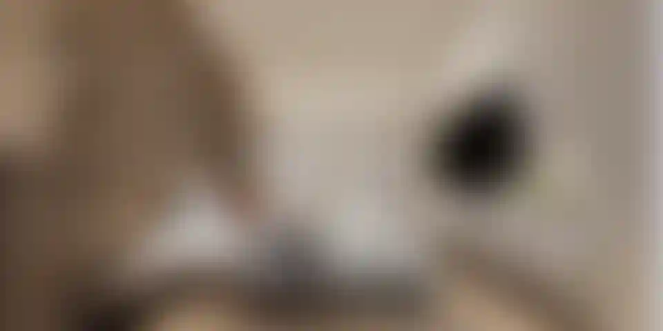 image for main block