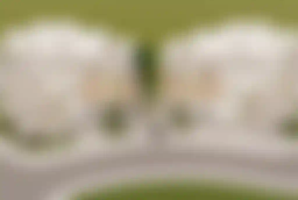 image for main block