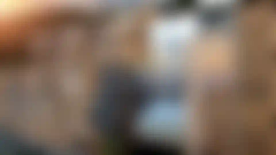 image for main block