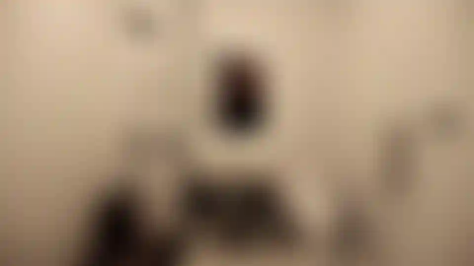 image for main block