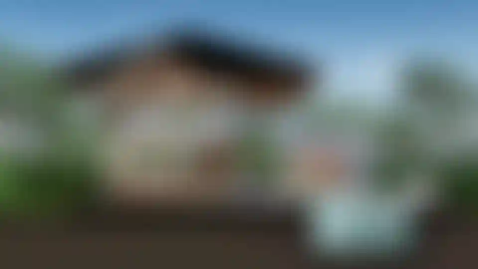 image for main block