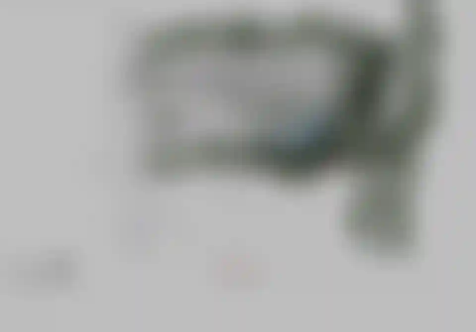 image for main block