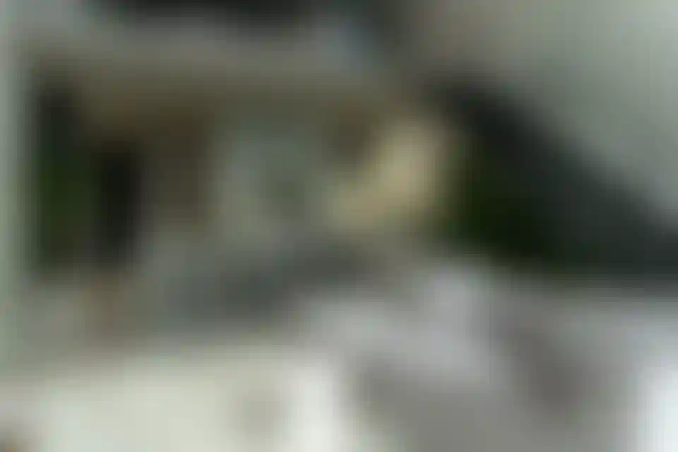 image for main block