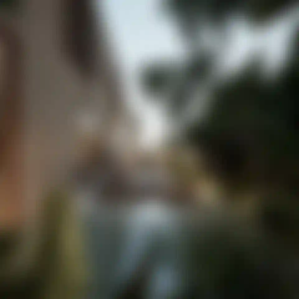 image for main block