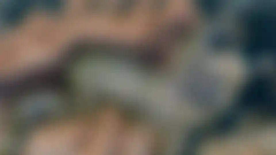 image for main block