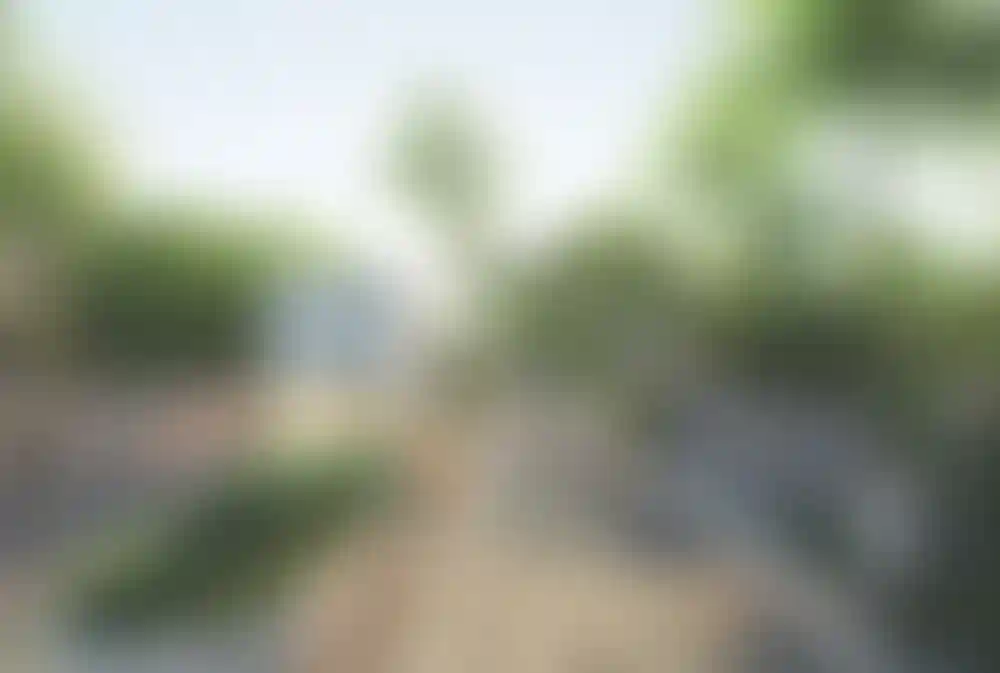 image for main block