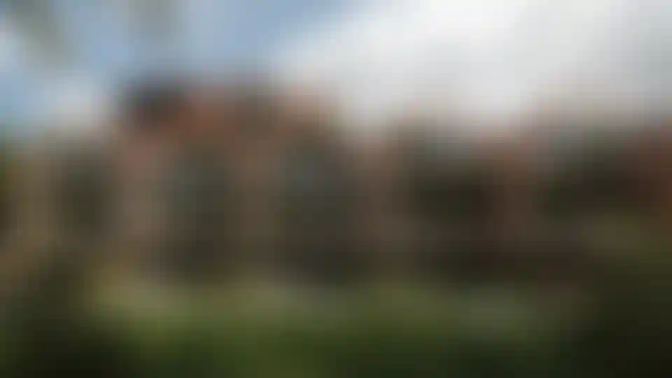 image for main block