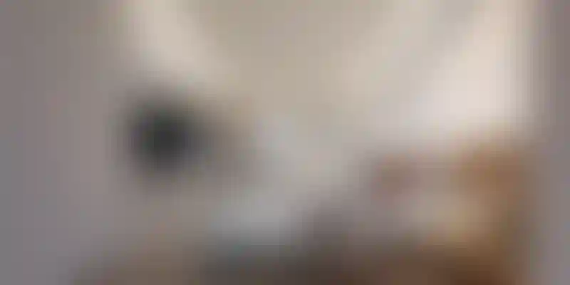 image for main block