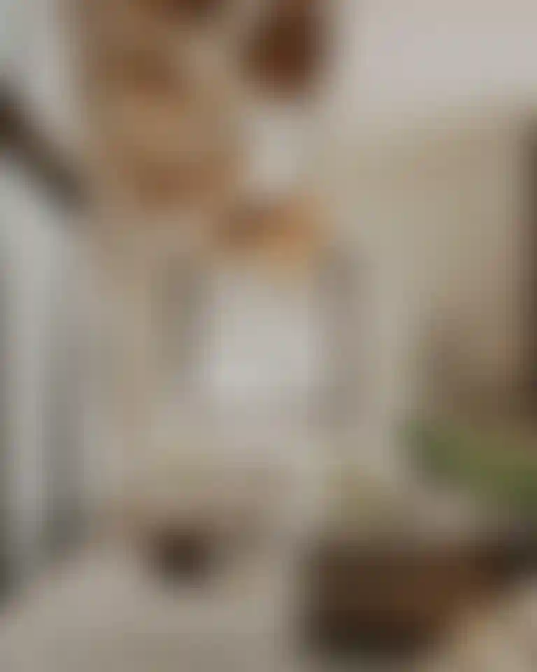 image for main block