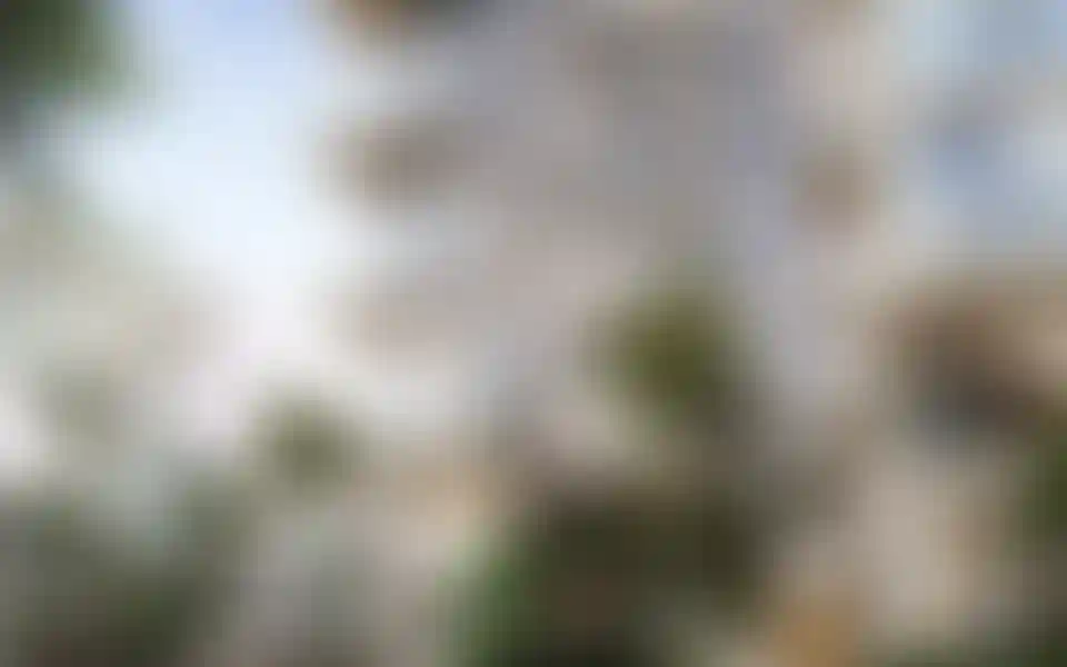 image for main block