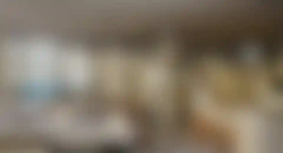 image for main block