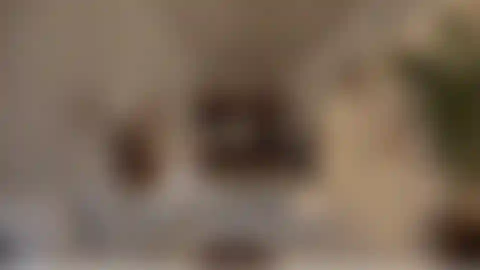 image for main block