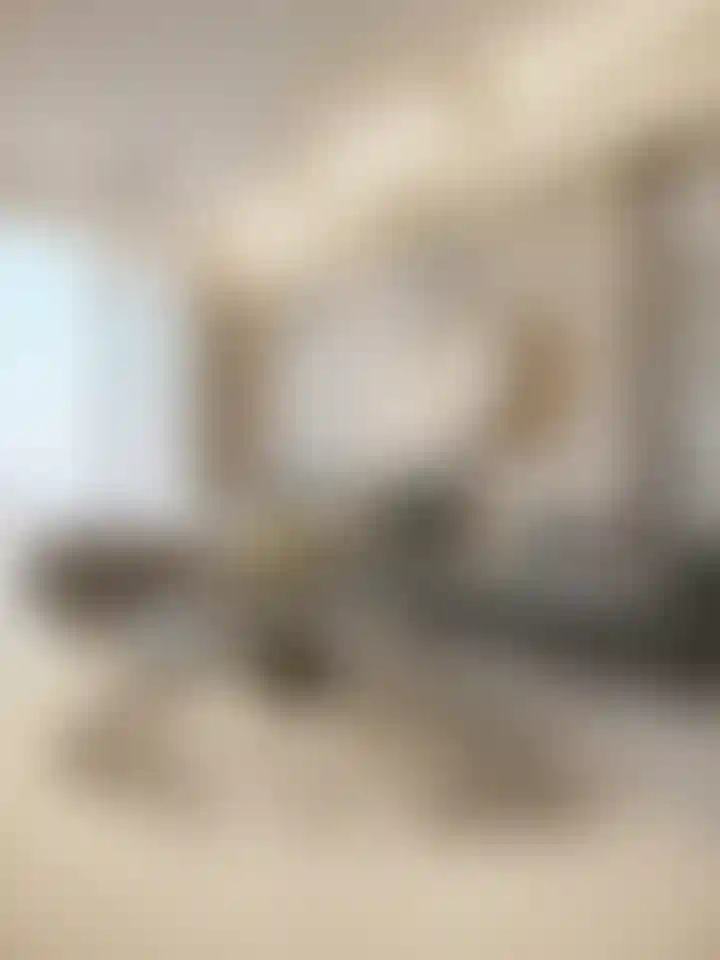 image for main block