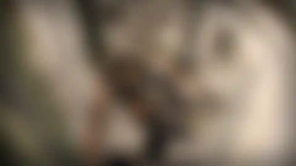 image for main block