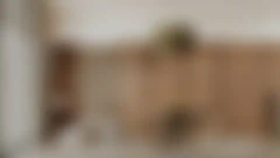 image for main block