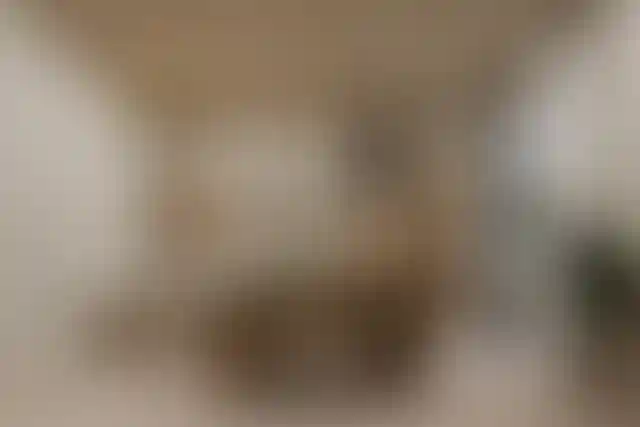 image for main block