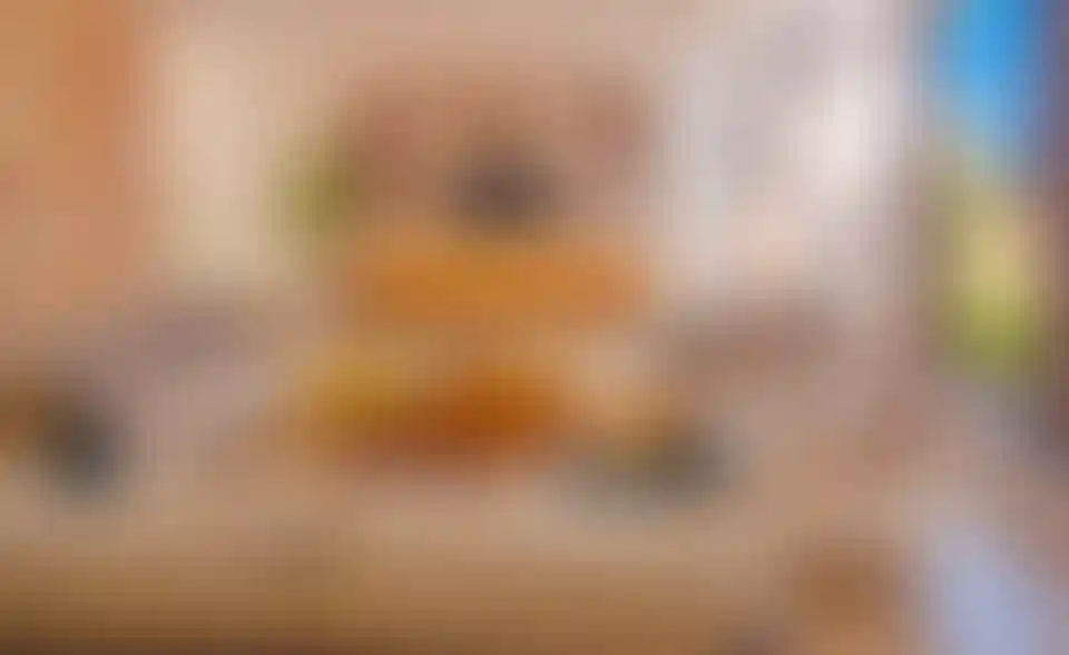 image for main block