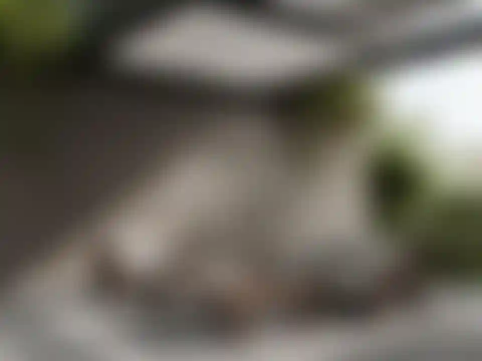 image for main block