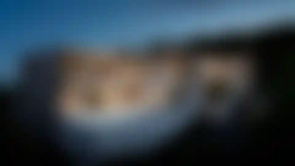 image for main block