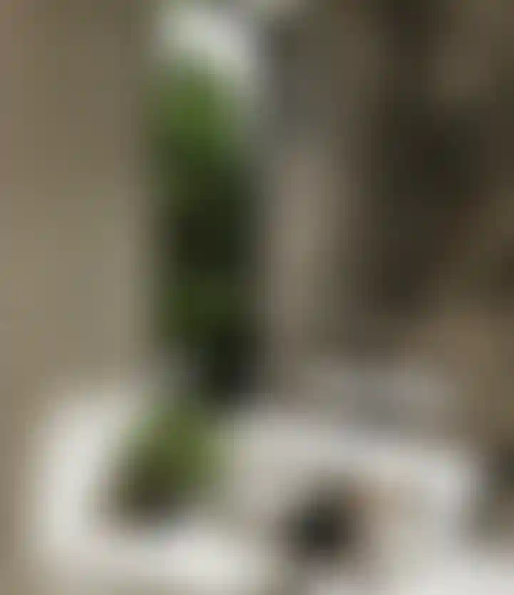 image for main block