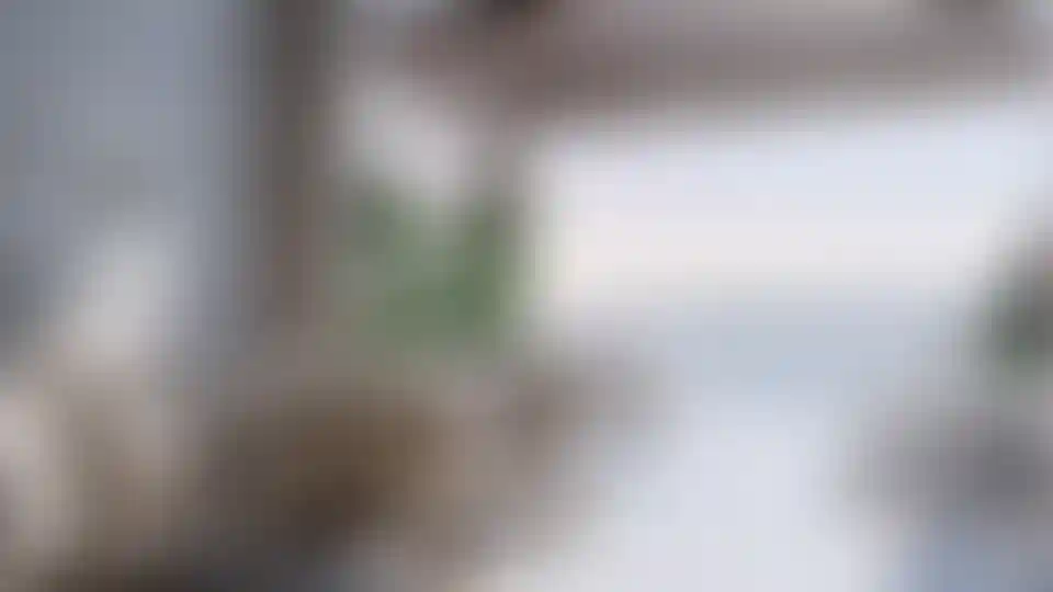 image for main block