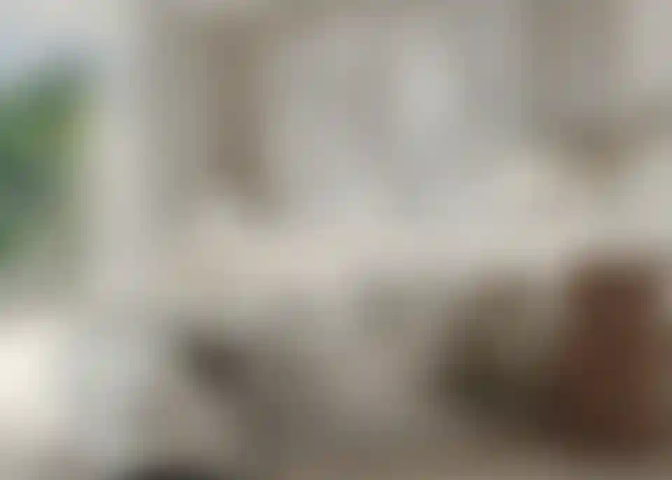 image for main block