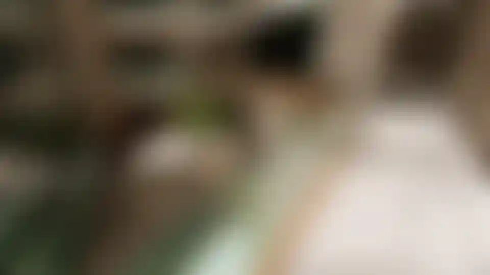 image for main block