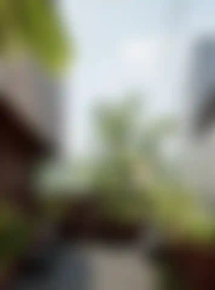 image for main block