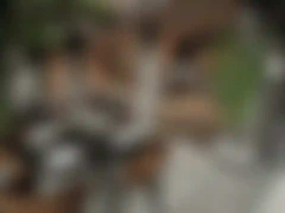 image for main block