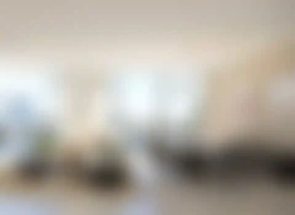 image for main block