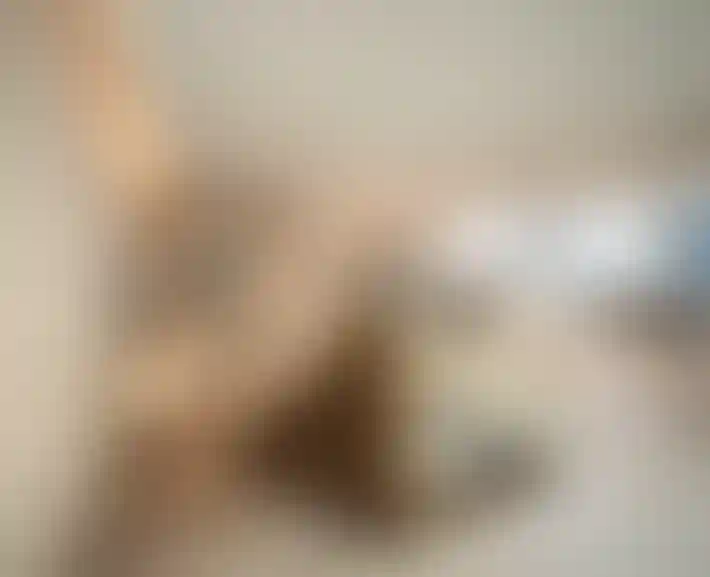 image for main block