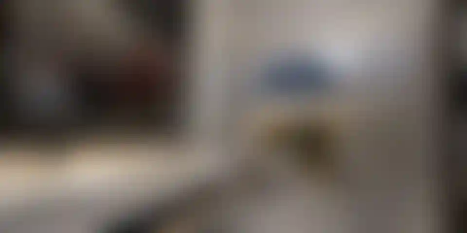 image for main block