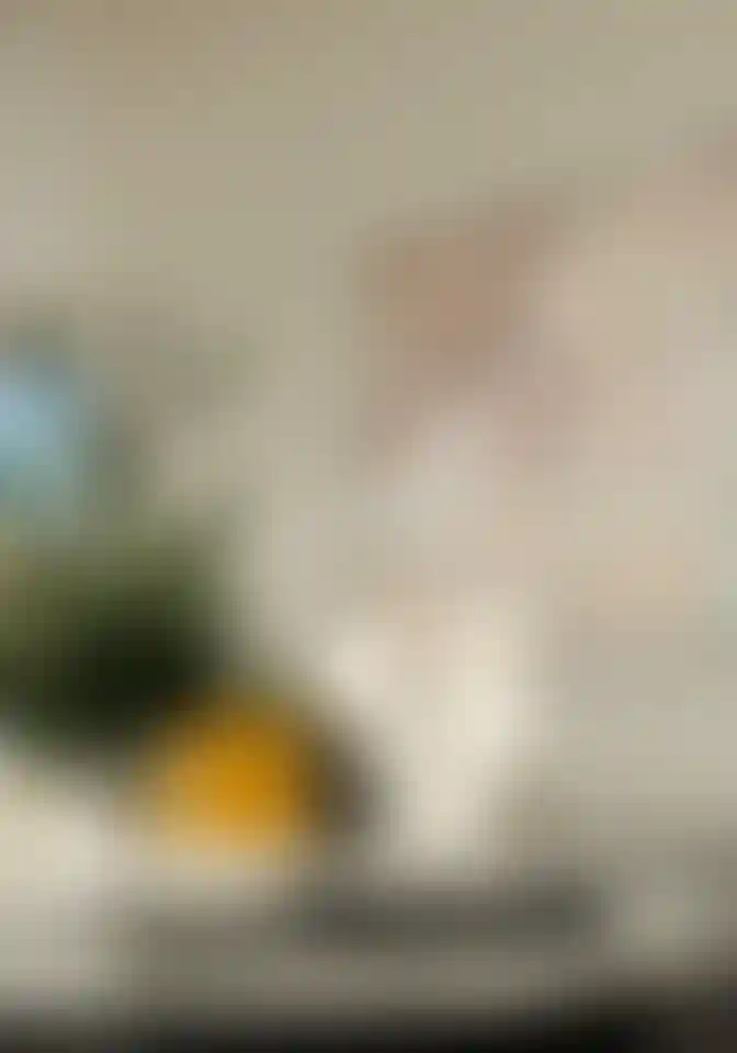 image for main block