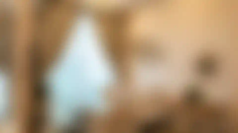 image for main block