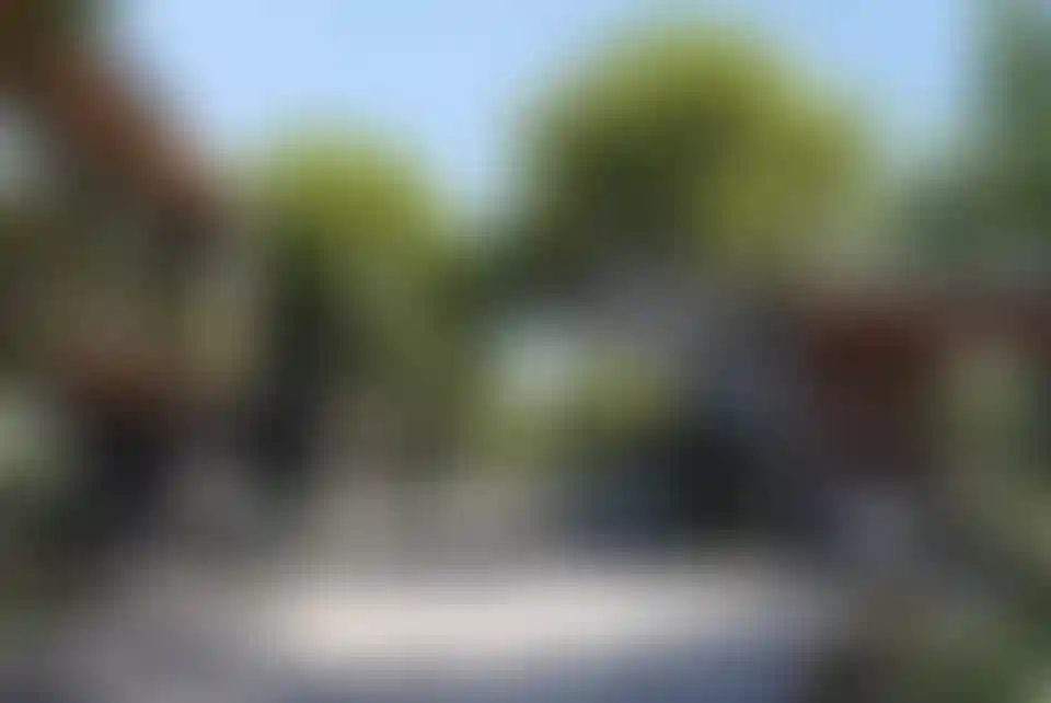 image for main block