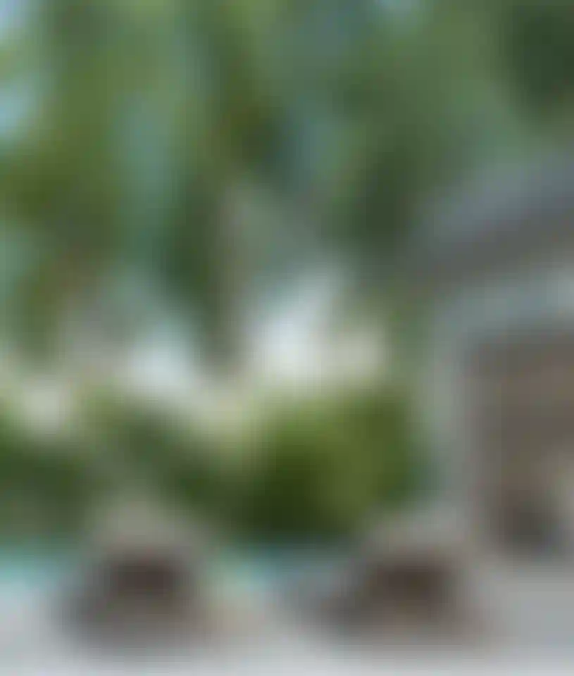 image for main block