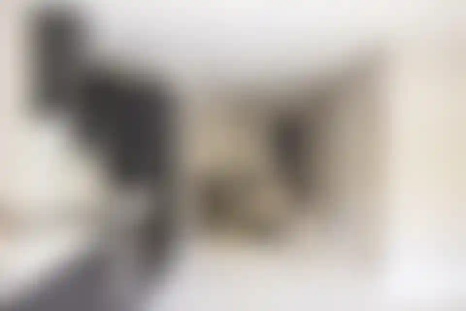 image for main block