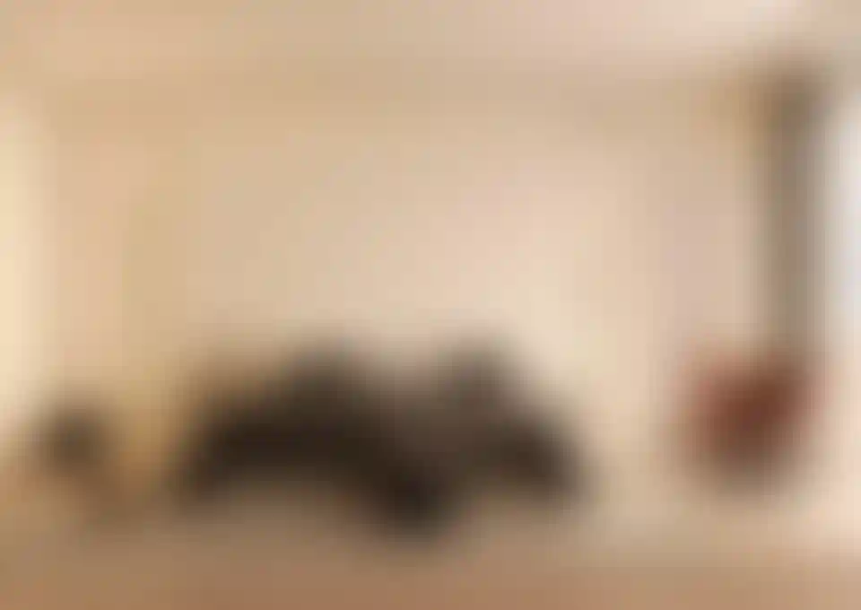 image for main block