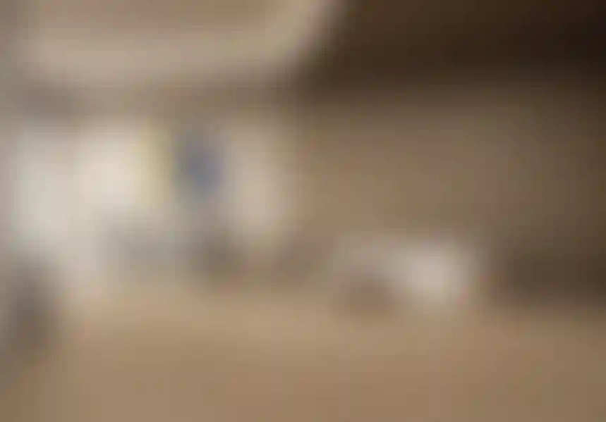 image for main block