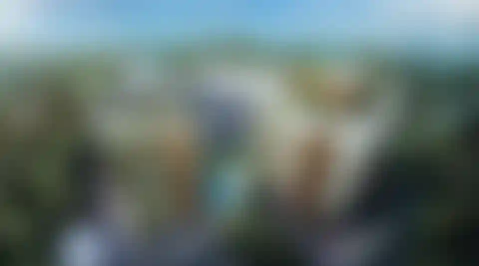 image for main block