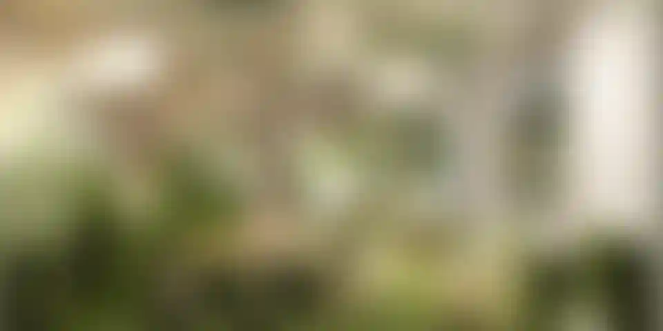 image for main block