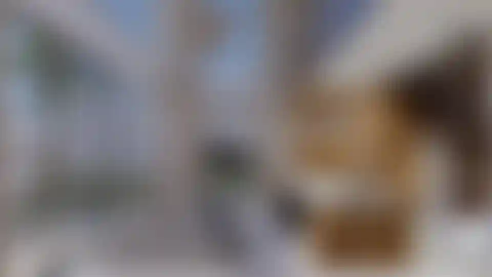 image for main block