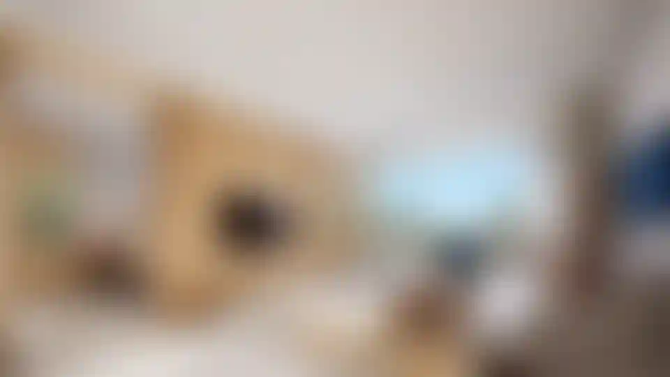 image for main block